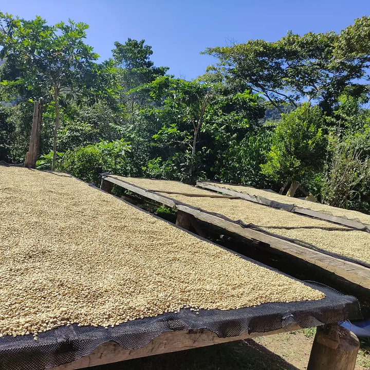 Bolivia San Juan Coop