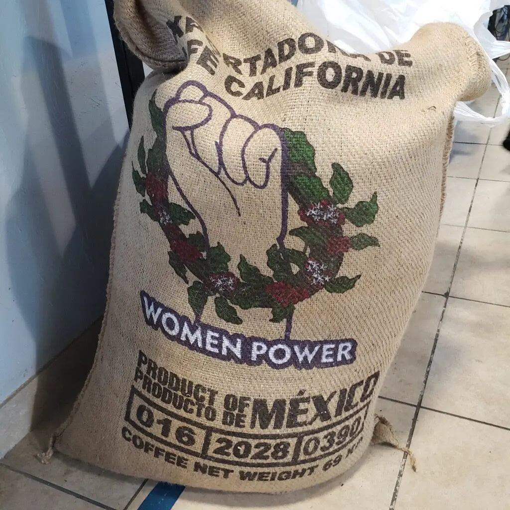 Mexico WPZ (Women Power Zongolica)