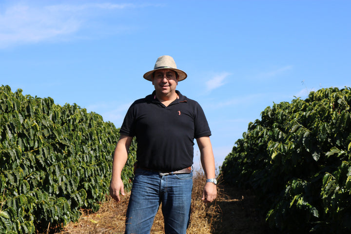 Brazil Campos Altos