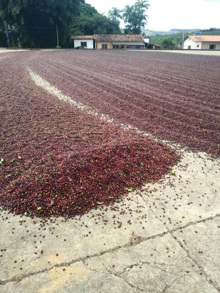 Brazil Campos Altos
