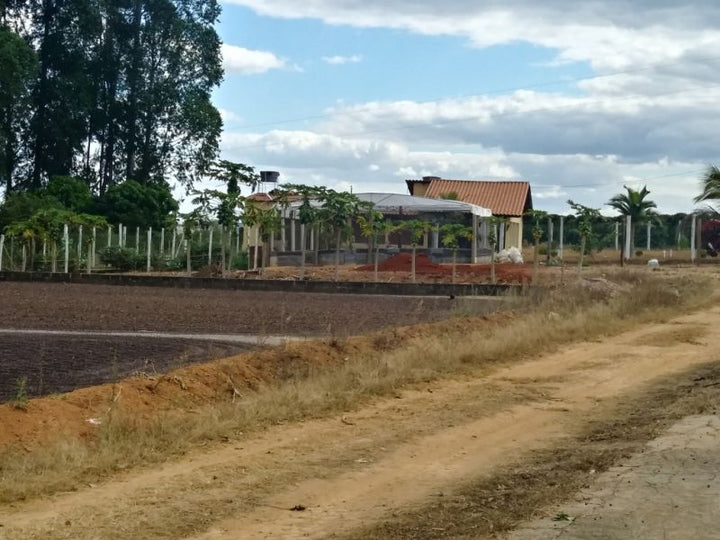 Brazil Campos Altos