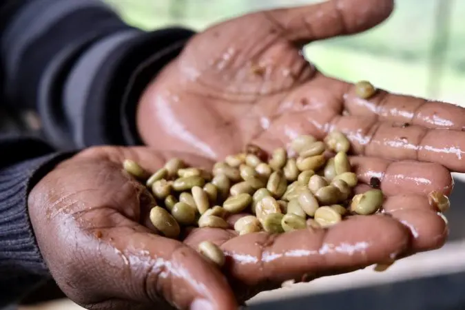 Kenya Iyego Gatubu