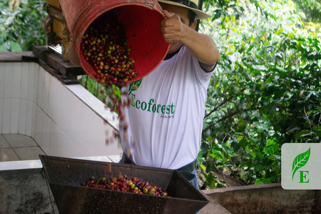 Peru Agraria Cooperative