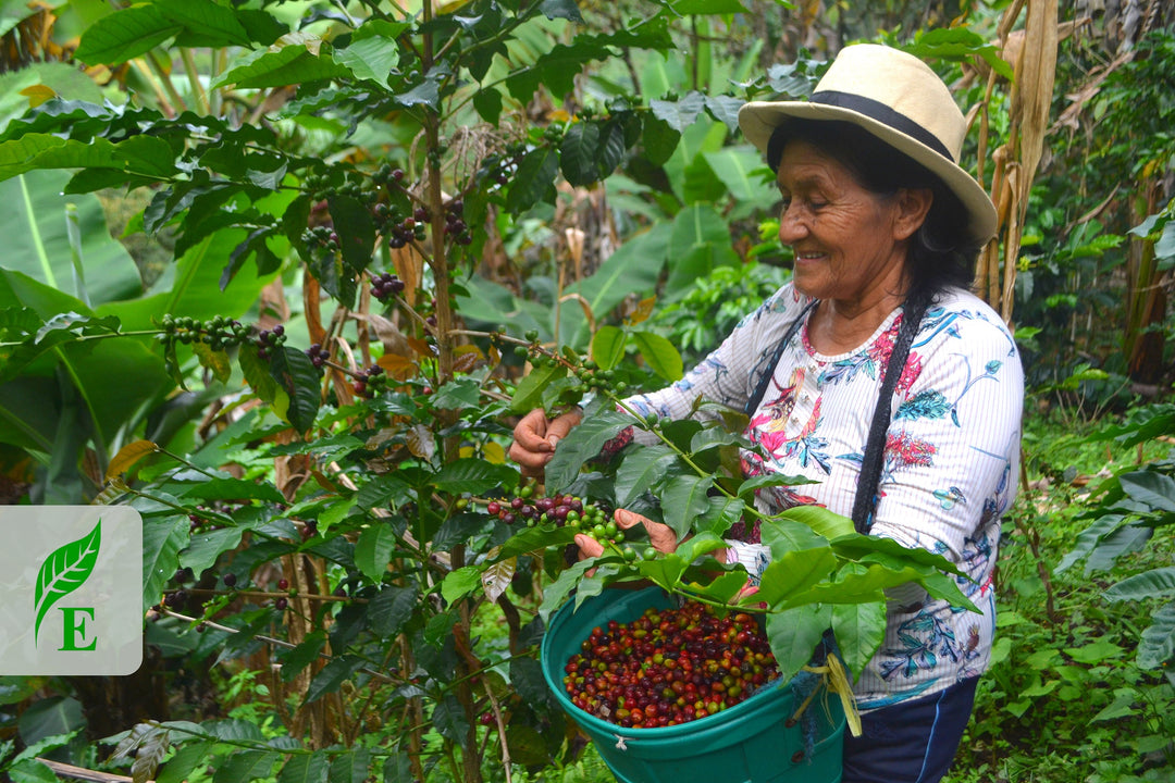 Peru Agraria Cooperative