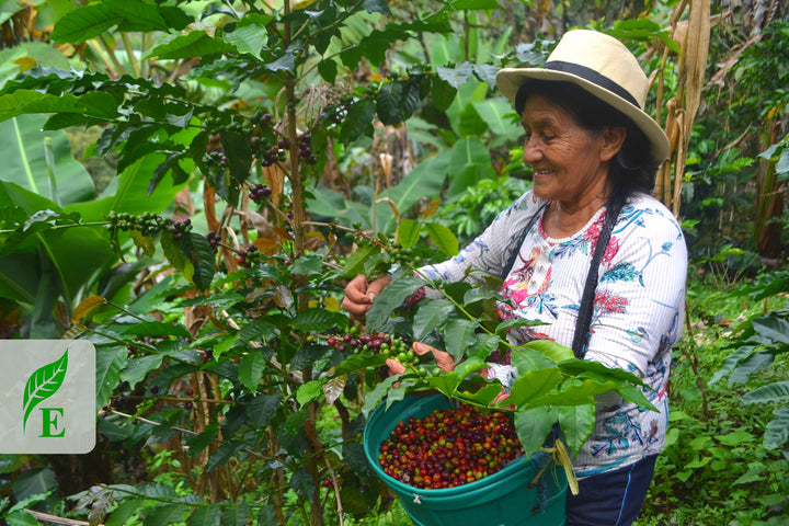 Peru Agraria Cooperative