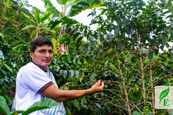 Peru Agraria Cooperative