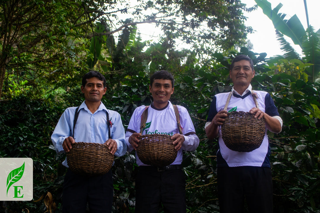 Peru Agraria Cooperative
